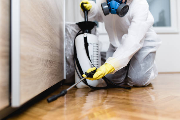  Bridgeport, TX Pest Control Pros