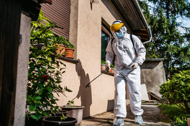 Insect Control in Bridgeport, TX