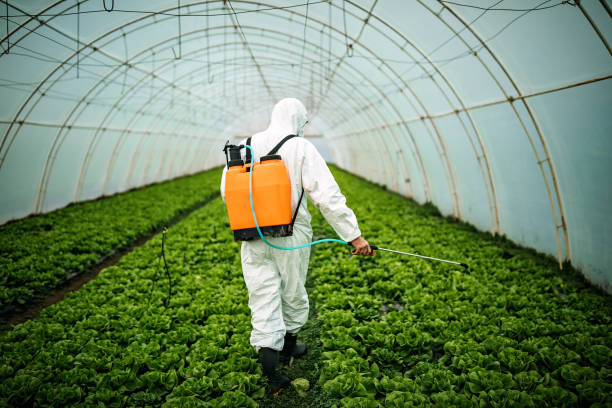 Best Pest Inspection Near Me  in Bridgeport, TX
