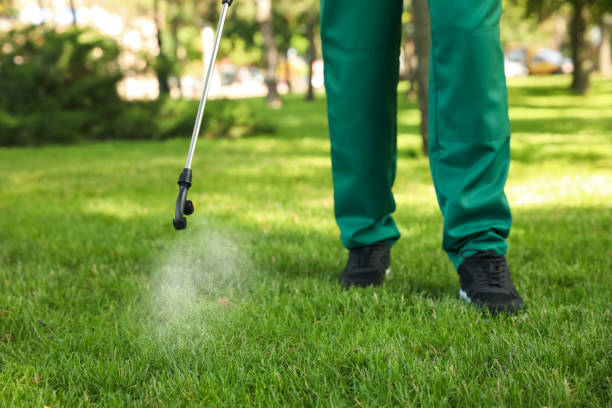 Best Rodent Control Near Me  in Bridgeport, TX