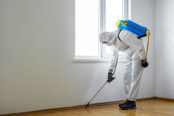 Best Commercial Pest Control Services  in Bridgeport, TX