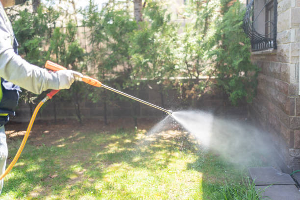 Best Bed Bug Extermination  in Bridgeport, TX