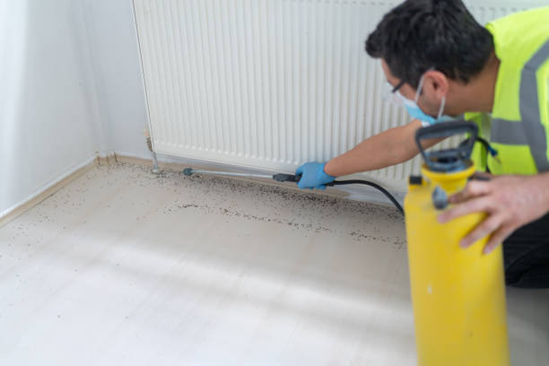 Best Emergency Pest Control  in Bridgeport, TX